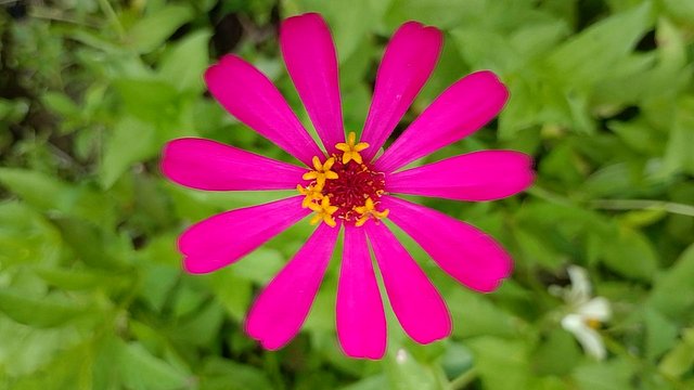 IMG_20250930_164041.jpg