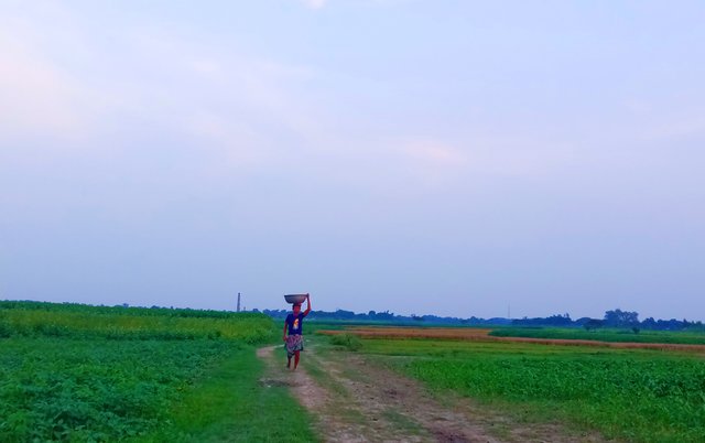 IMG_20250617_074719.jpg