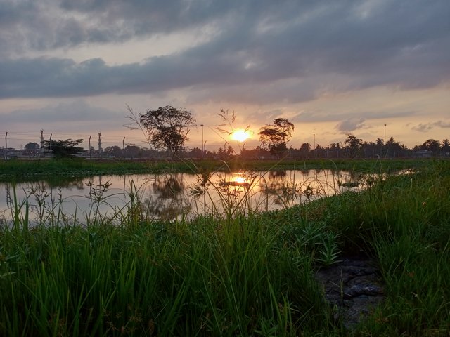 IMG20250719183105.jpg