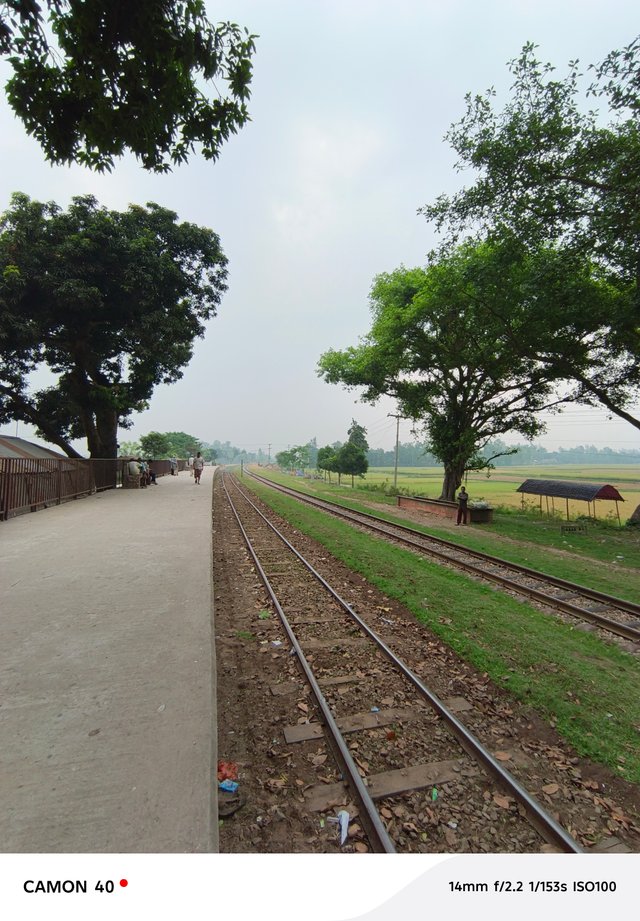 558.jpg