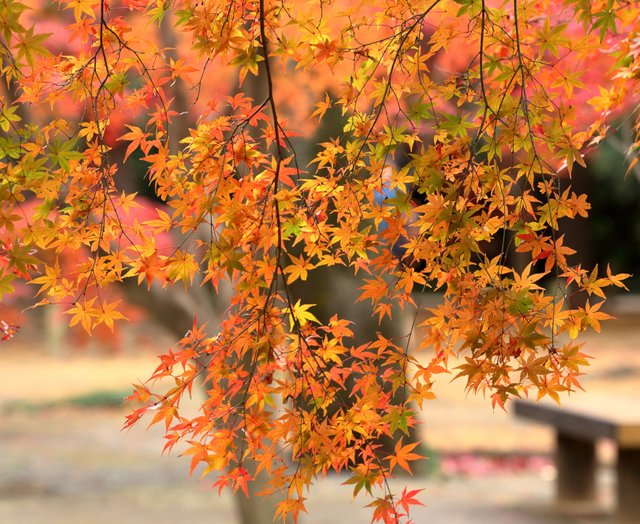 fall--35.jpg