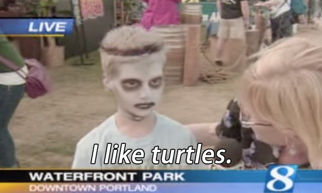 Iliketurtles.jpg