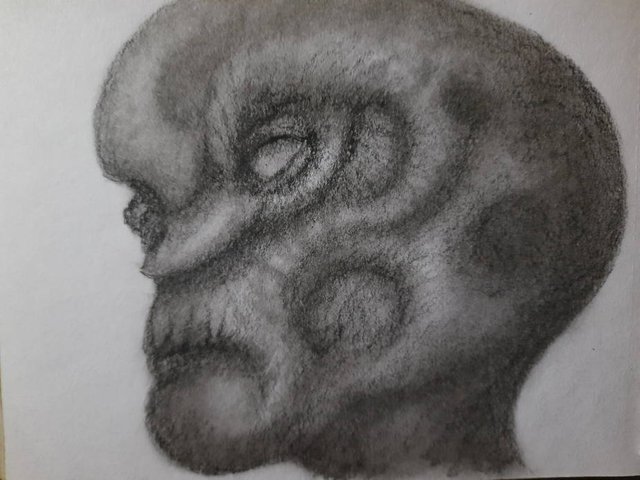 20250421_113229.jpg