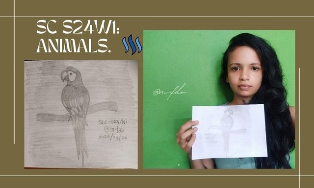 SC S24W1 Animals..jpg