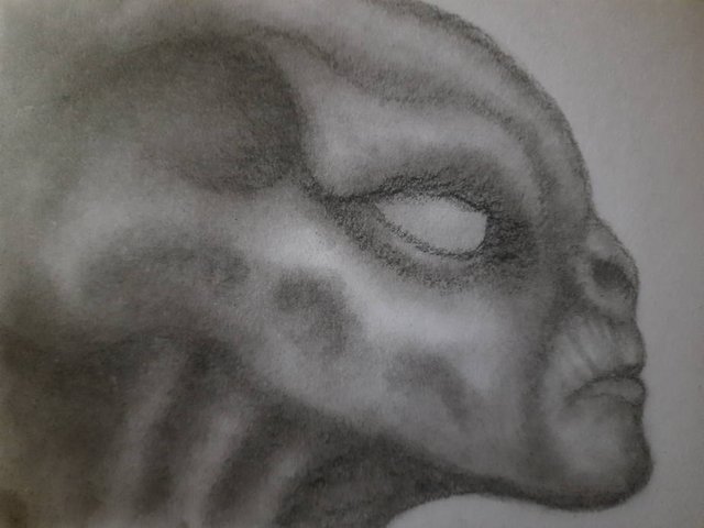 20250427_094212.jpg