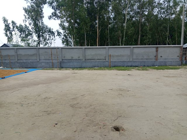 1000010337.jpg