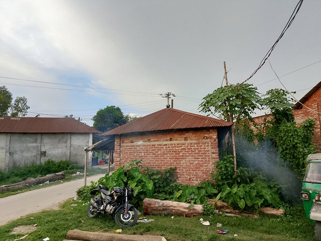 1000046135.jpg