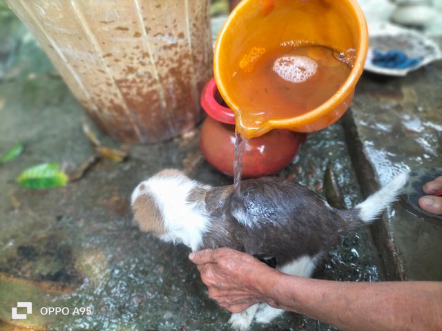 IMG20250326125159.jpg