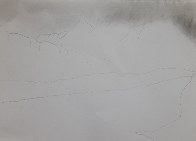 20250729_130815.jpg