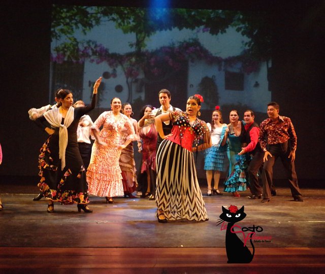 La Gato Flamenco-Somos una alternativa.jpg