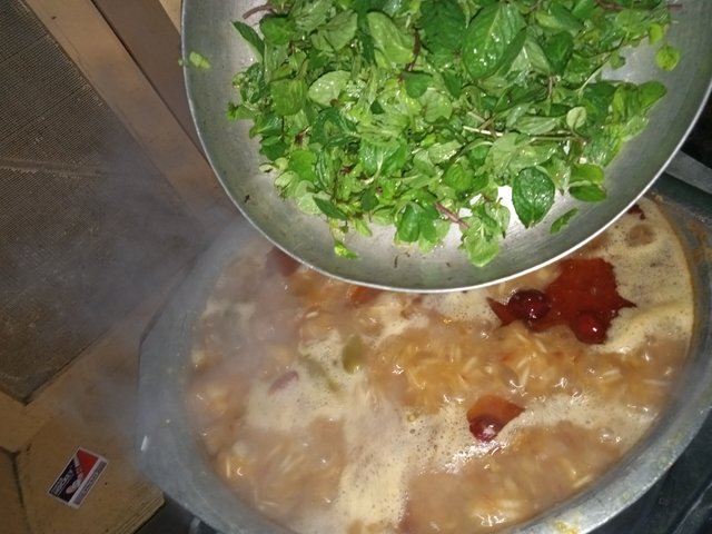 IMG20250223144344_00.jpg