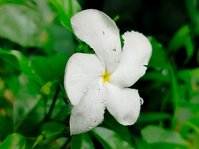 IMG-20250516-WA0033.
