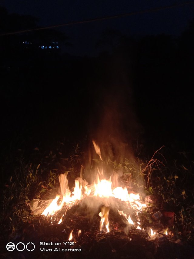IMG_0392.jpeg