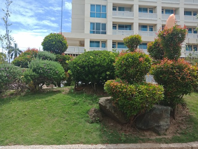 IMG20180530115845.jpg