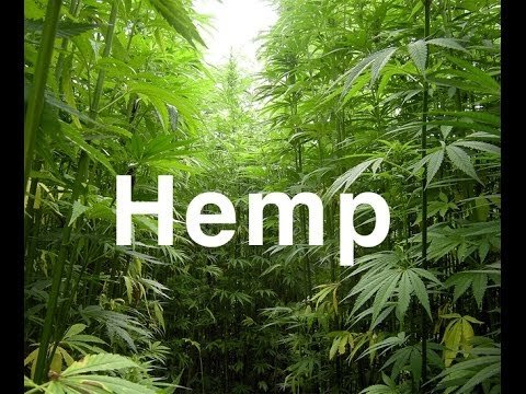 hemp.jpg