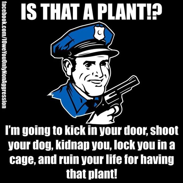 police-plant-marijuana.jpg