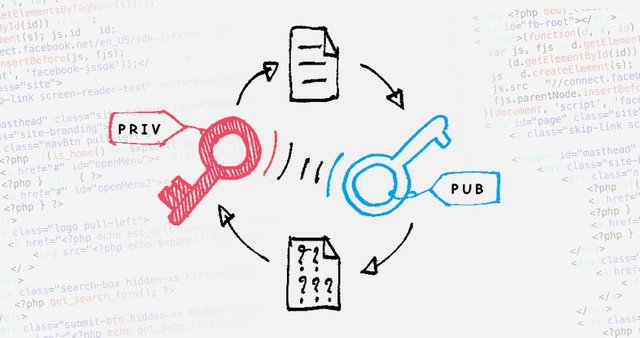 public-key-vs-private-key-ssl-indonesia.jpg