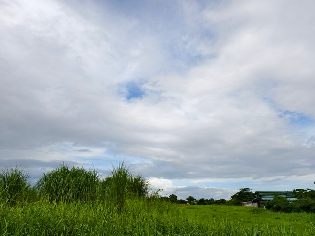 IMG_20250704_080840.jpg