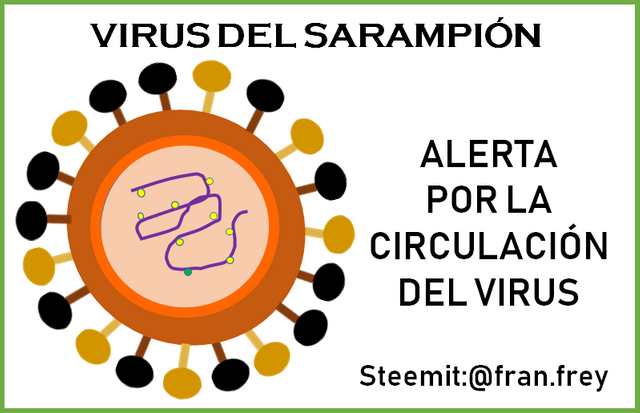 estructura del virus de la rubeola