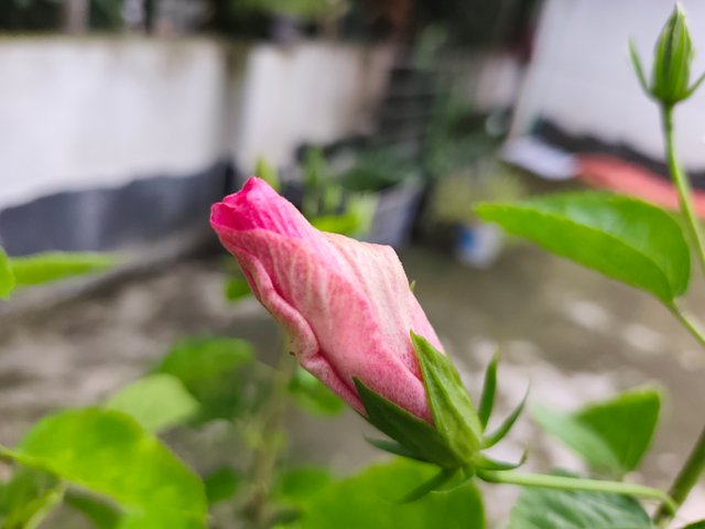 1000015166.jpg