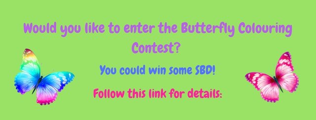 The Butterfly Colouring Contest header.jpg