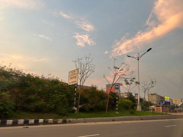 IMG_0769.jpeg