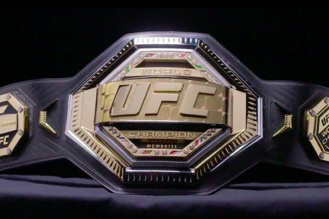 UFC belt.jpg