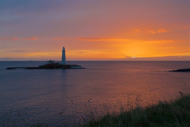 St Marys Lighthouse at Dawn 002.jpg