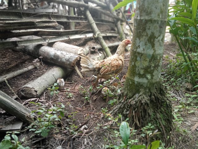 IMG20250320111731.jpg