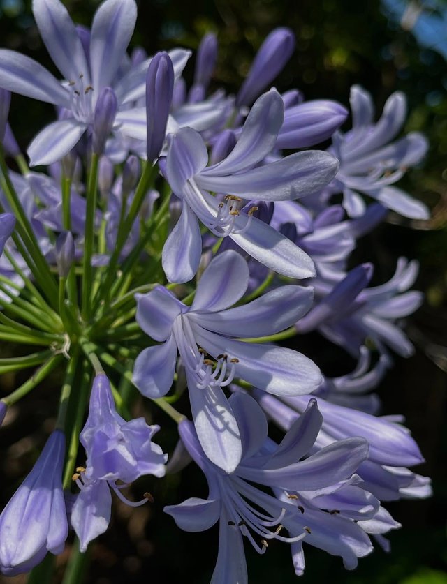 IMG_20250621_115941.jpg