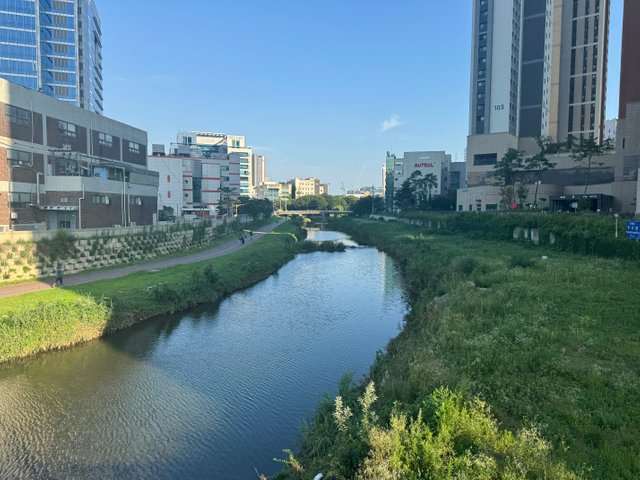 KakaoTalk_20250723_233918363_02.jpg