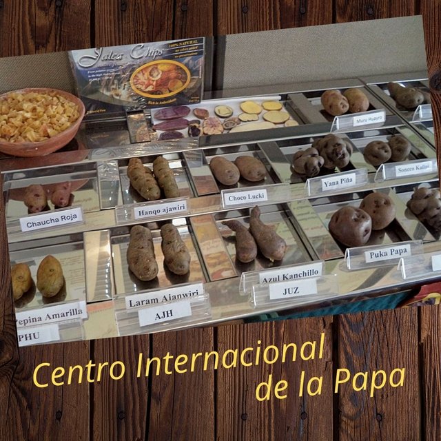 Visita al Centro Internacional de la Papa. 2013.jpg