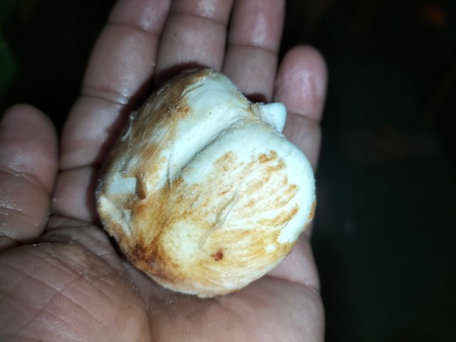 IMG20250626194703.jpg