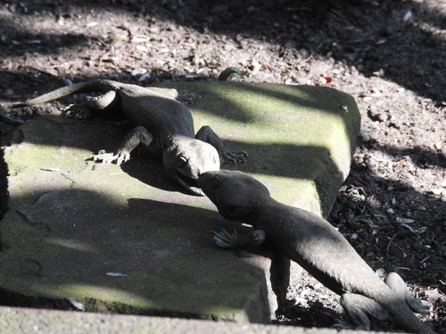 DSCN1218.JPG