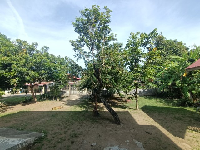 IMG20250420090530.jpg