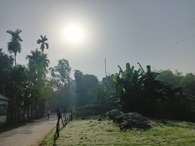 IMG_20250622_232624.jpg