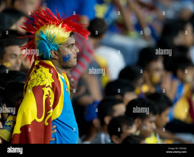 a-worried-sri-lankan-fan-CM5AJ0.jpg