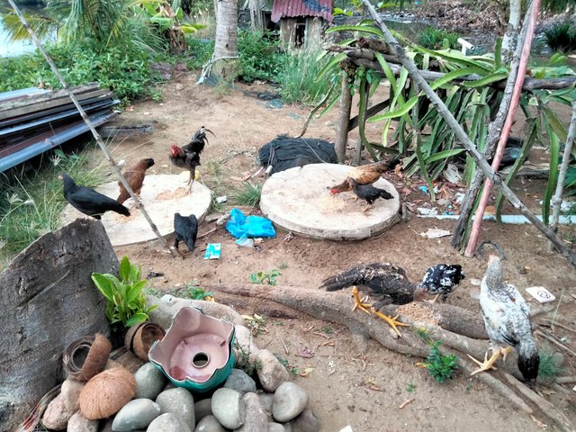 IMG20250720184144.jpg