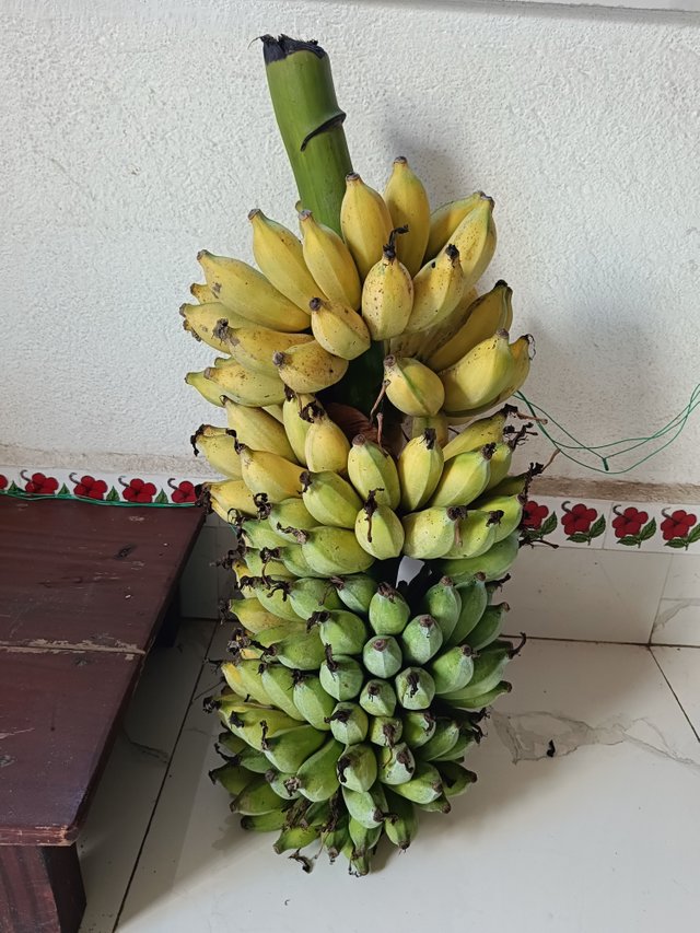 1000040202.jpg