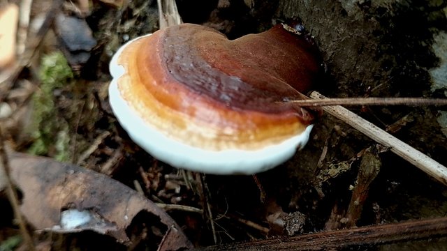 IMG_20250802_105647.jpg
