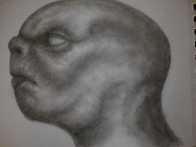 20251013_110021.jpg