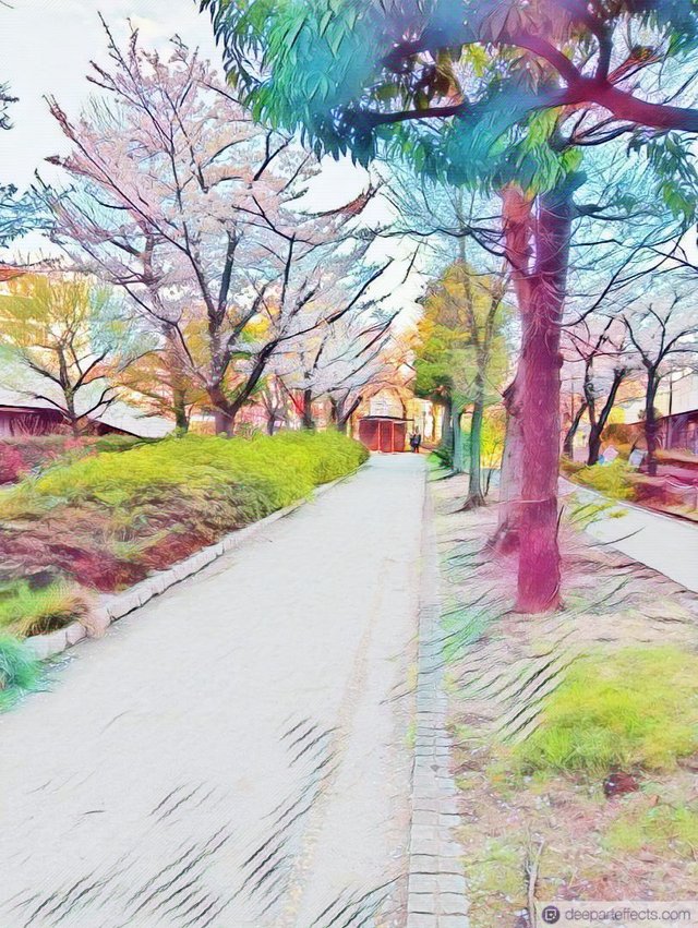 1000050325.jpg