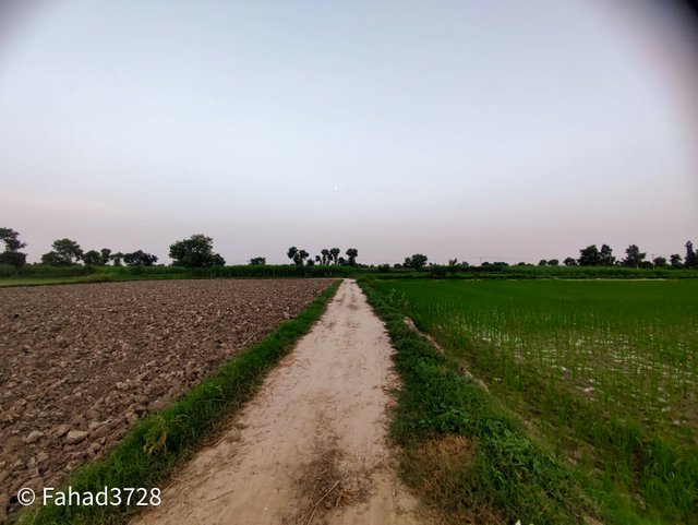 IMG_20250806_184309.jpg