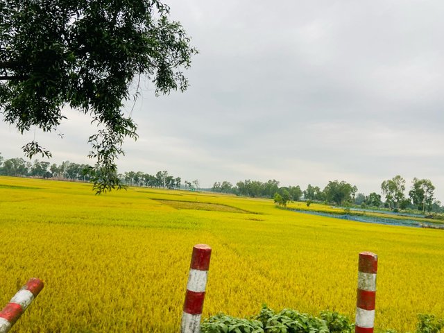 IMG-20250523-WA0002.jpg