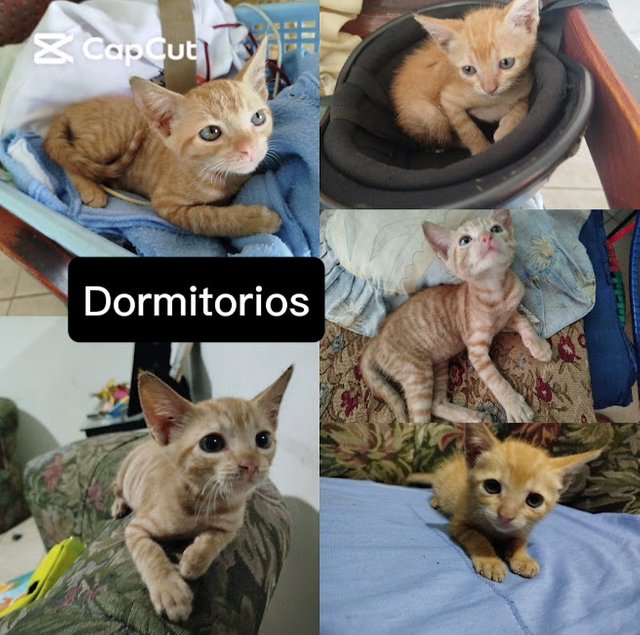 dormitorios.jpg