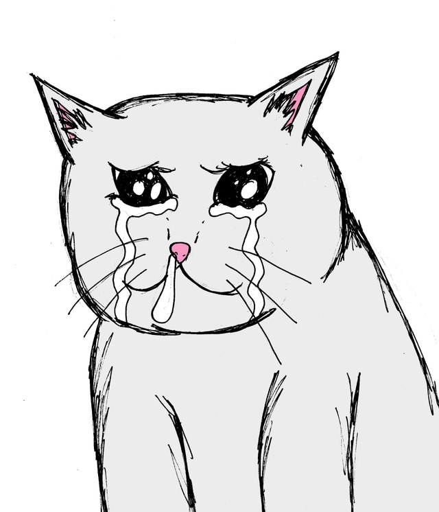 Cat Meme Face Drawing