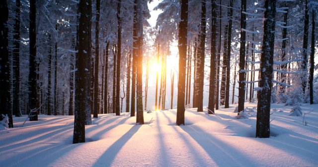 Winter-sunrise-760x400.jpg