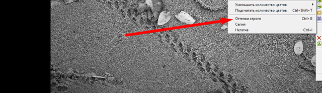 Снимок экрана (4481)_cr.png