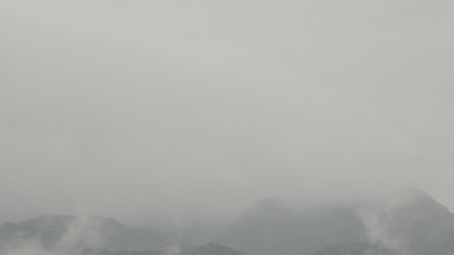 1000141932.jpg