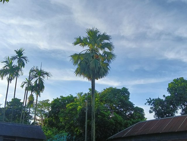 IMG20250819172150.jpg